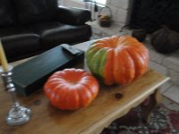 DSC00448