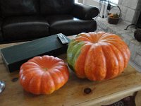 DSC00450