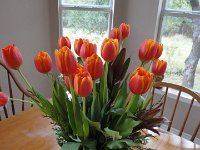 DSC00451