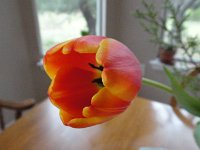 DSC00458