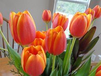DSC00460