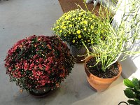 DSC00485