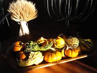 DSC00499