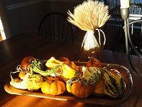 DSC00500