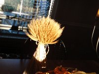 DSC00501