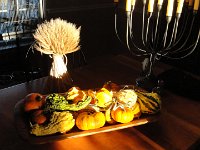 DSC00502