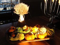DSC00503