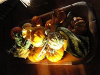 DSC00504