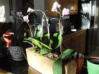DSC00512