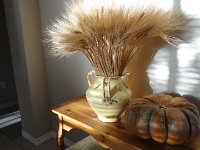 DSC00520