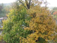 DSC00532