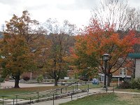 DSC00539