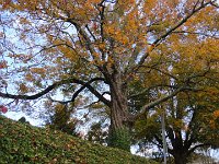 DSC00546