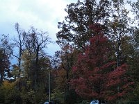 DSC00550