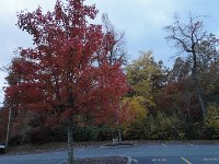 DSC00551
