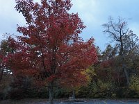 DSC00552