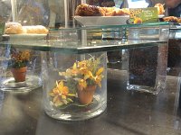 DSC00595