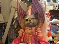 DSC00630