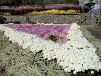 DSC00699