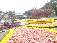 DSC00702