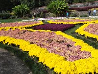 DSC00706