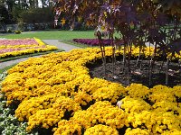 DSC00707