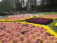 DSC00710