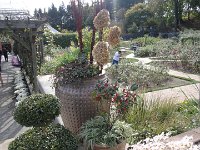 DSC00718