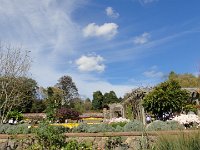 DSC00722