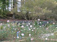 DSC00730
