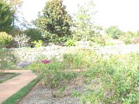 DSC00733