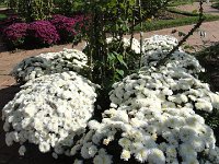 DSC00738