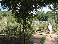 DSC00740
