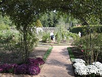 DSC00741
