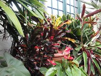 DSC00750
