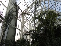 DSC00752