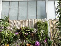 DSC00757