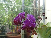DSC00760