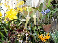 DSC00769