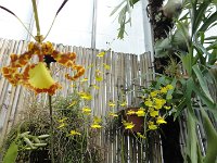 DSC00770