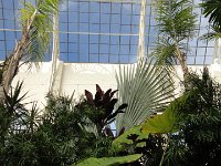 DSC00800