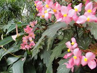 DSC00803