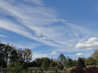 DSC00828