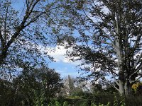 DSC00841