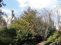 DSC00842