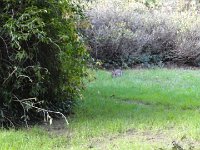 DSC00844