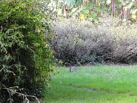 DSC00845