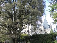 DSC00846