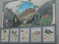 DSC00889