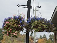 DSC00893